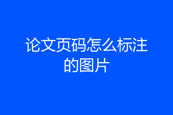 论文页码怎么标注的图片