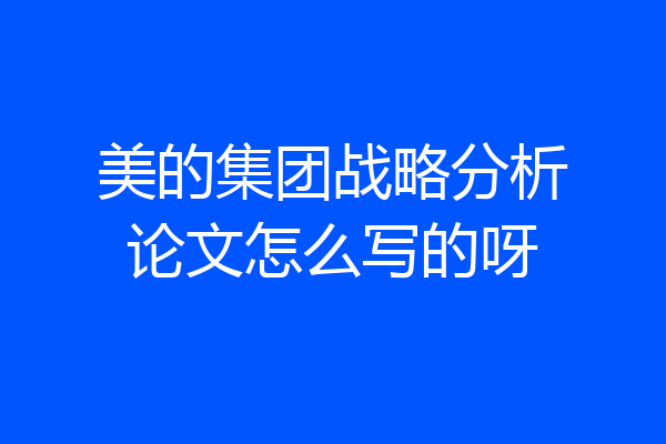 美的集团战略分析论文怎么写的呀