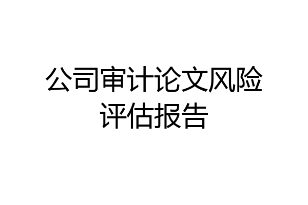 公司审计论文风险评估报告