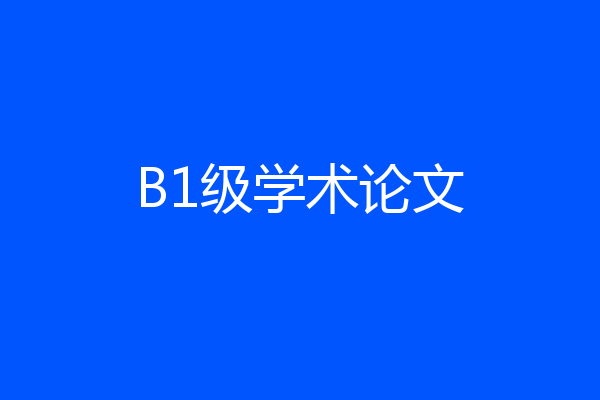 B1级学术论文
