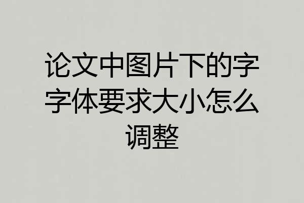 论文中图片下的字字体要求大小怎么调整