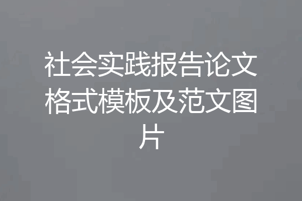 社会实践报告论文格式模板及范文图片
