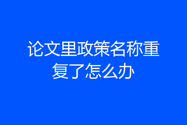论文里政策名称重复了怎么办