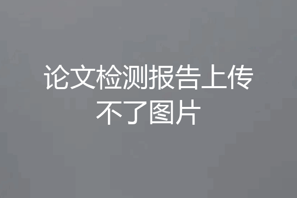 论文检测报告上传不了图片