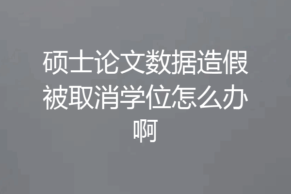 硕士论文数据造假被取消学位怎么办啊