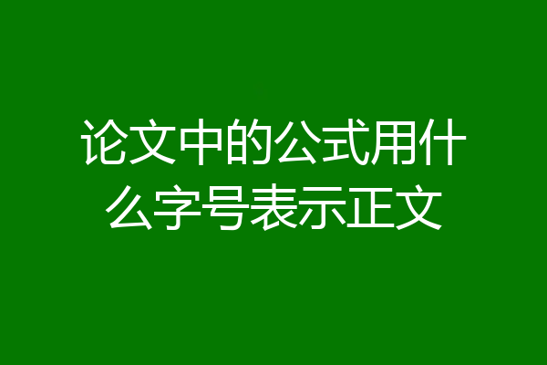 论文中的公式用什么字号表示正文
