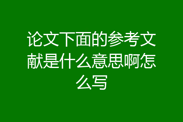论文下面的参考文献是什么意思啊怎么写