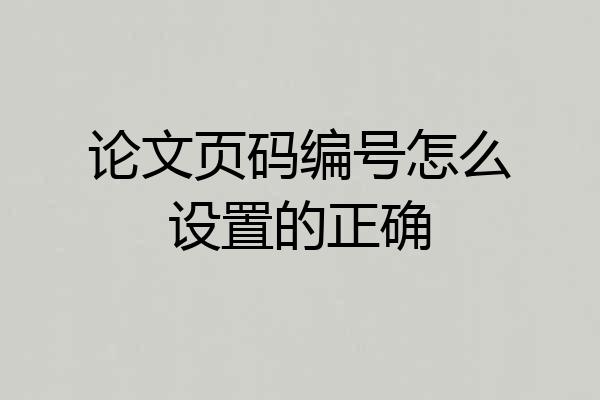论文页码编号怎么设置的正确