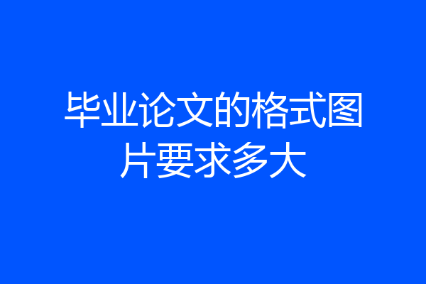 毕业论文的格式图片要求多大