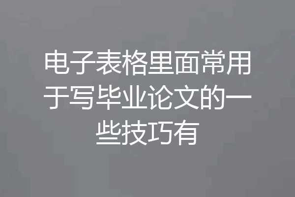 电子表格里面常用于写毕业论文的一些技巧有