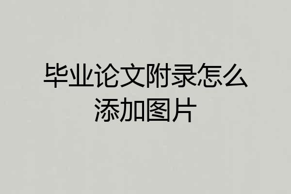 毕业论文附录怎么添加图片