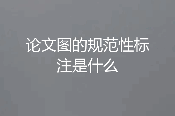 论文图的规范性标注是什么