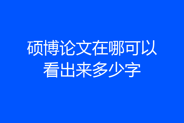 硕博论文在哪可以看出来多少字