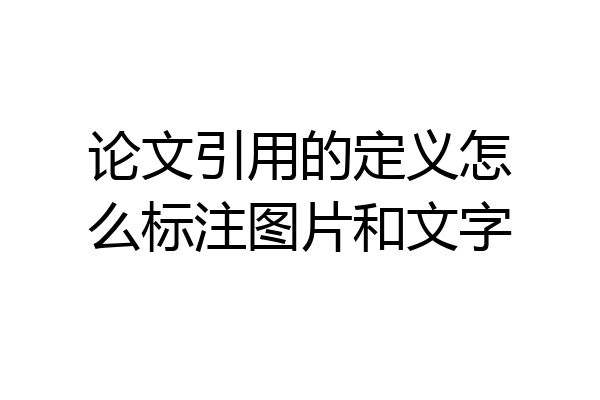 论文引用的定义怎么标注图片和文字