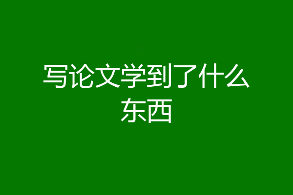 写论文学到了什么东西