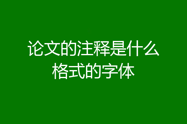 论文的注释是什么格式的字体