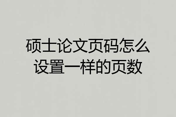 硕士论文页码怎么设置一样的页数