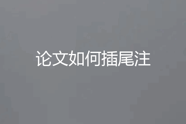 论文如何插尾注