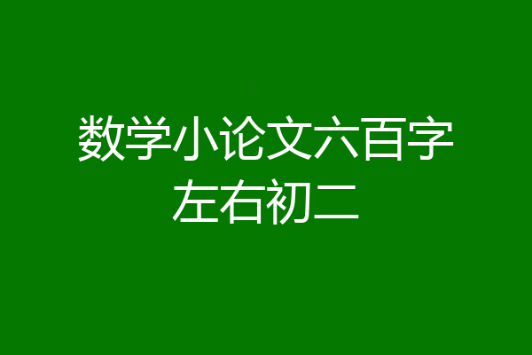数学小论文六百字左右初二