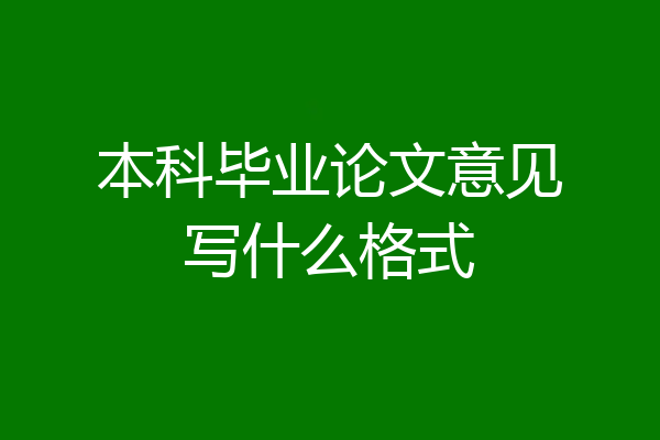 本科毕业论文意见写什么格式