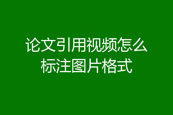 论文引用视频怎么标注图片格式