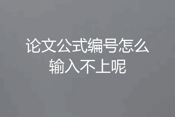 论文公式编号怎么输入不上呢
