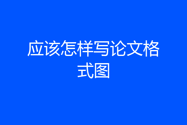 应该怎样写论文格式图