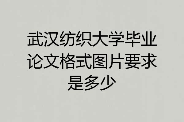 武汉纺织大学毕业论文格式图片要求是多少