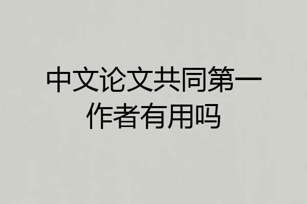 中文论文共同第一作者有用吗