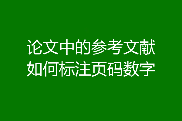 论文中的参考文献如何标注页码数字