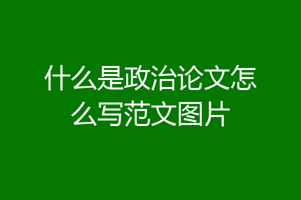 什么是政治论文怎么写范文图片