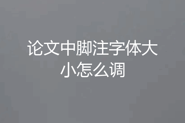 论文中脚注字体大小怎么调