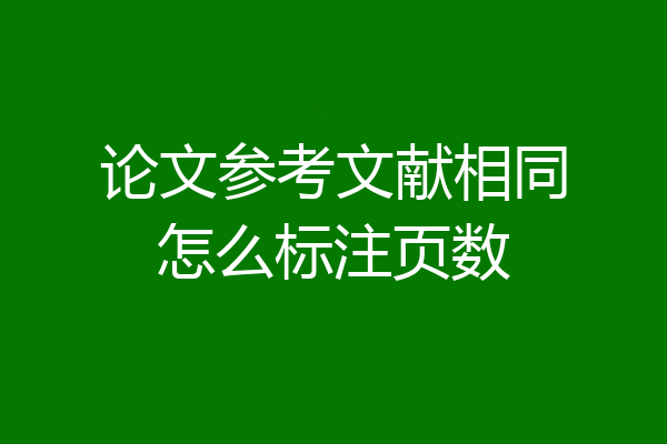 论文参考文献相同怎么标注页数