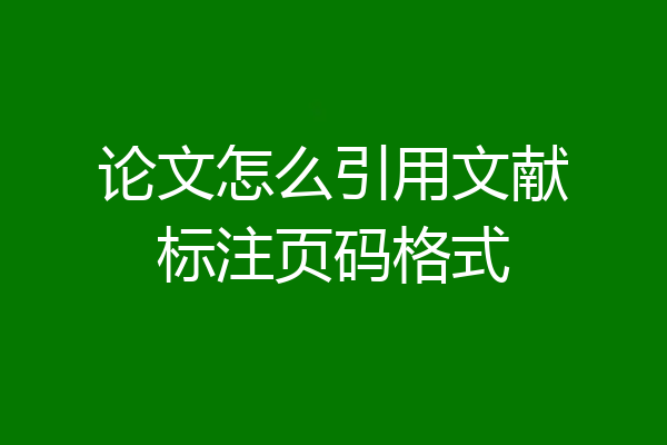 论文怎么引用文献标注页码格式