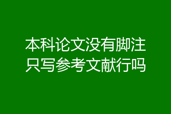 本科论文没有脚注只写参考文献行吗