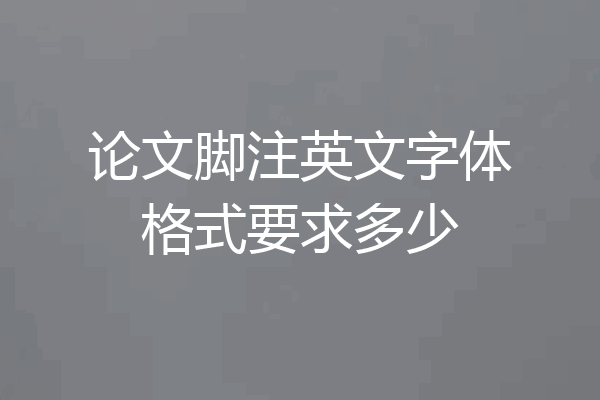 论文脚注英文字体格式要求多少