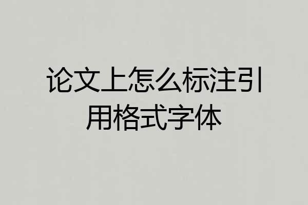论文上怎么标注引用格式字体