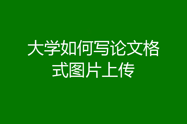 大学如何写论文格式图片上传