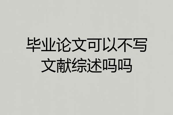 毕业论文可以不写文献综述吗吗
