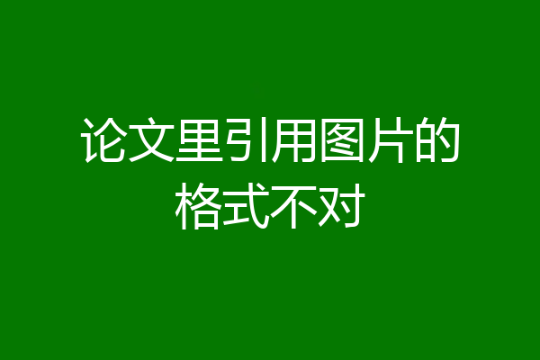 论文里引用图片的格式不对