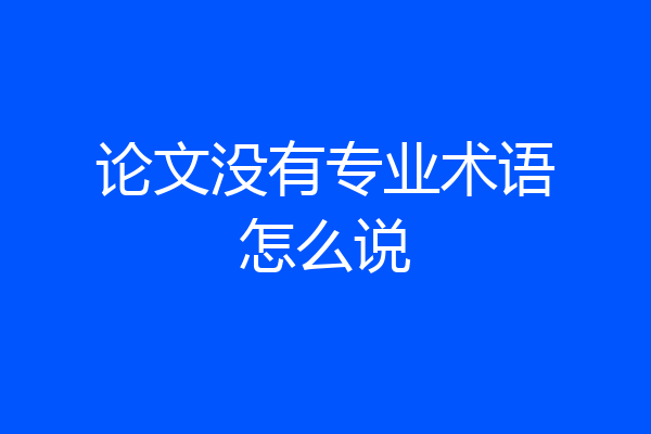 论文没有专业术语怎么说