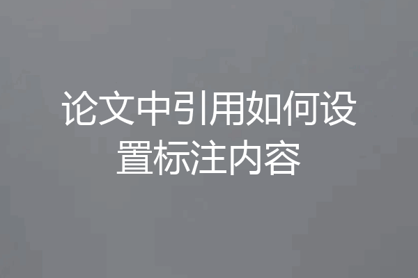 论文中引用如何设置标注内容
