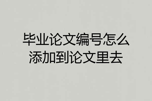 毕业论文编号怎么添加到论文里去