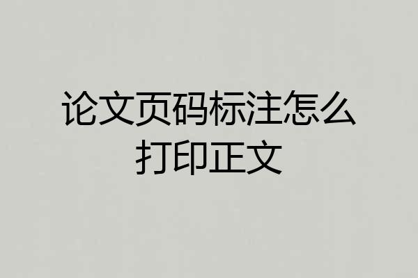 论文页码标注怎么打印正文