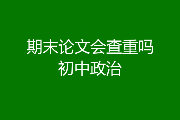期末论文会查重吗初中政治