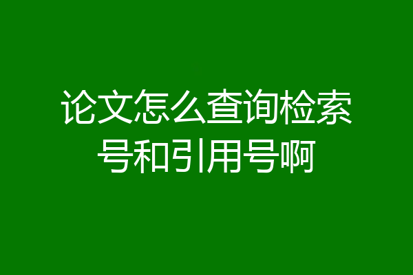 论文怎么查询检索号和引用号啊