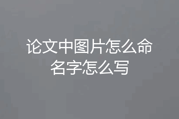 论文中图片怎么命名字怎么写