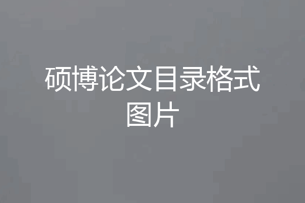 硕博论文目录格式图片