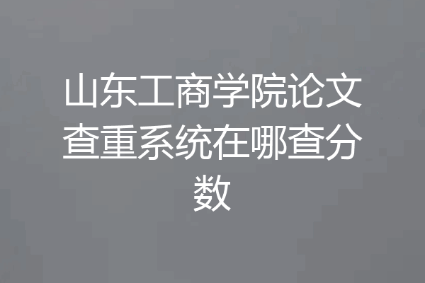 山东工商学院论文查重系统在哪查分数
