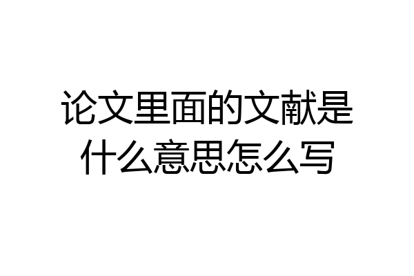 论文里面的文献是什么意思怎么写